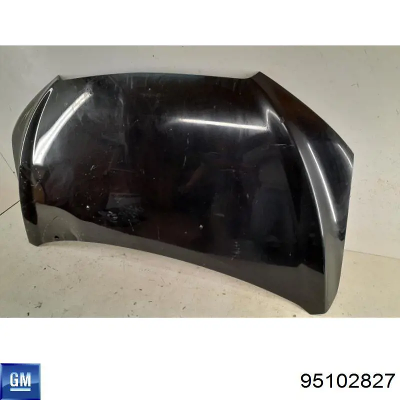 Capó del motor General Motors 95102827 precio, desde 172,42 EUR