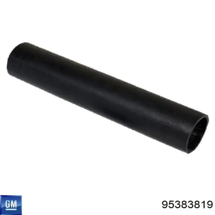 Manguera del intercooler General Motors 95383819 precio, desde 15,73 EUR
