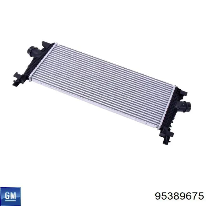 Capó del motor General Motors 95389675 precio, desde 188,10 EUR