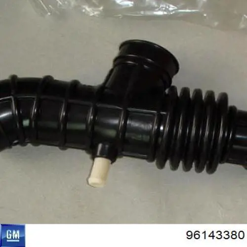 Conducto de aire, salida del filtro de aire General Motors 96143380 precio, desde 10,26 EUR