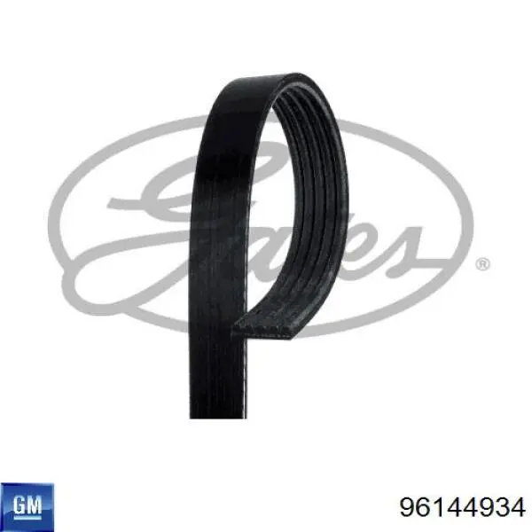 Comprar 96144934 General Motors Correa trapezoidal
