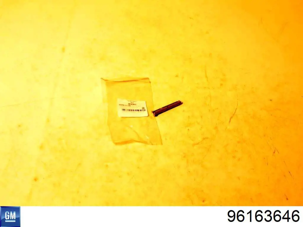 Comprar 96163646 General Motors Pasador de bisagra de puerta