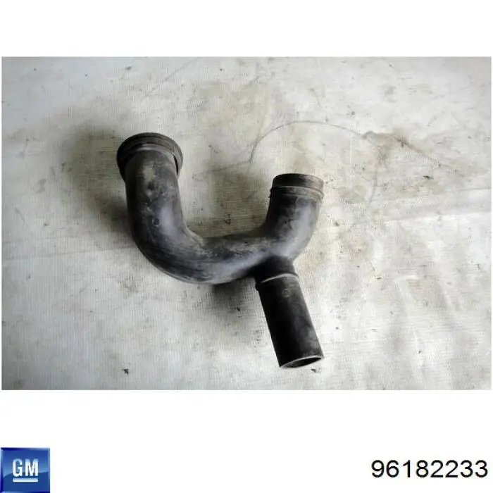 Tubo de admisión de aire, entrada del filtro de aire General Motors 96182233 precio, desde 9,87 EUR
