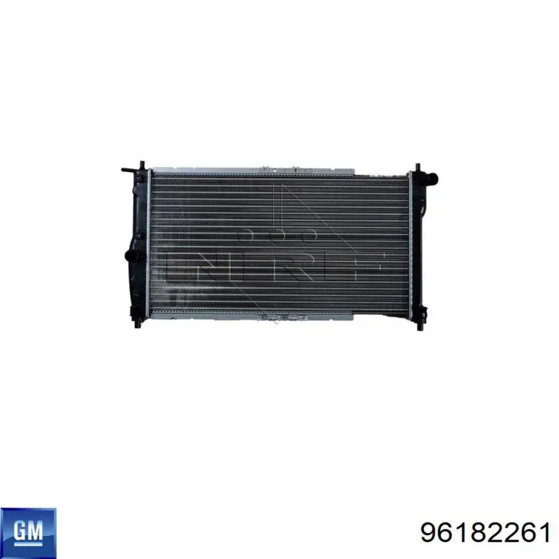 Água radiador General Motors 96182261 precio, desde 55,96 EUR