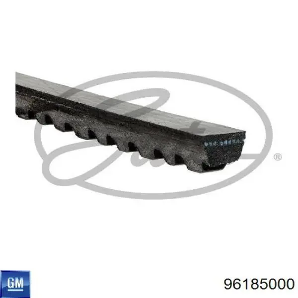 96185000 General Motors Correa poly v