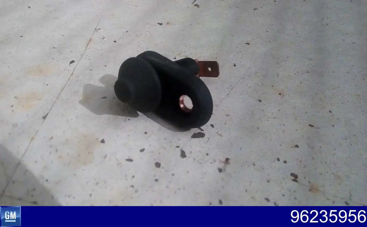 Comprar 96235956 General Motors Sensor, interruptor, contacto de puerta 
