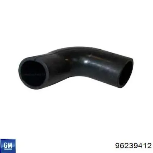 Válvula PCV General Motors 96239412 precio, desde 4,35 EUR