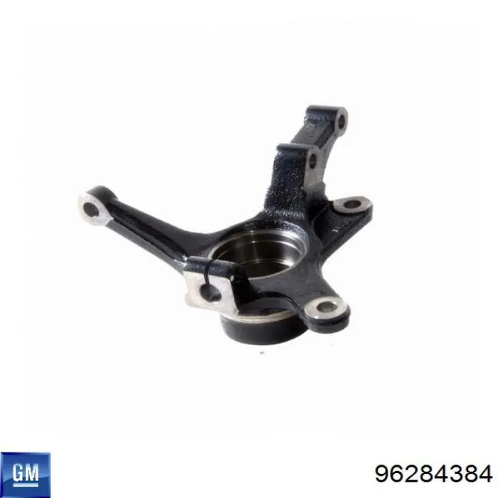 Mangueta delantera izquierda General Motors 96284384 precio, desde 39,96 EUR