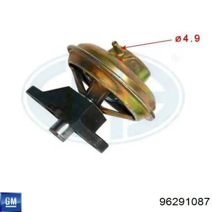 Comprar 96291087 General Motors Válvula EGR