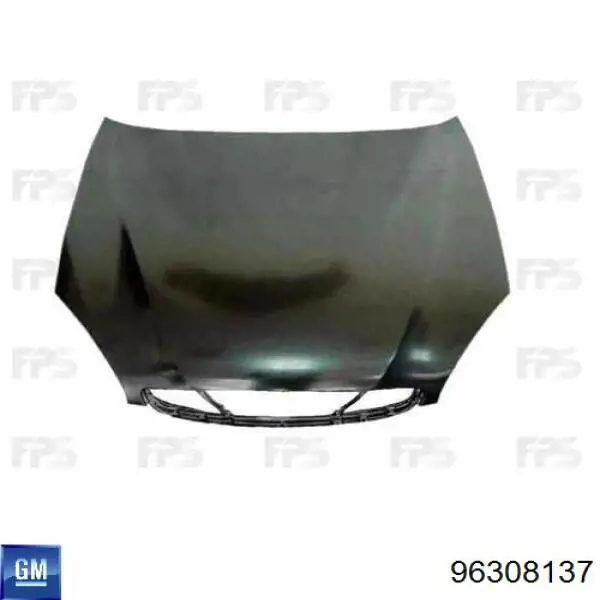 Capó del motor General Motors 96308137 precio, desde 172,79 EUR