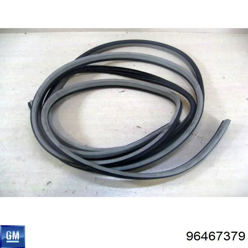 Junta de puerta delantera (en la carrocería) General Motors 96467379 precio, desde 55,50 EUR