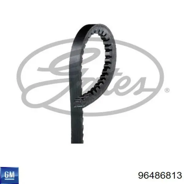 Correa de alternador 96486813 General Motors
