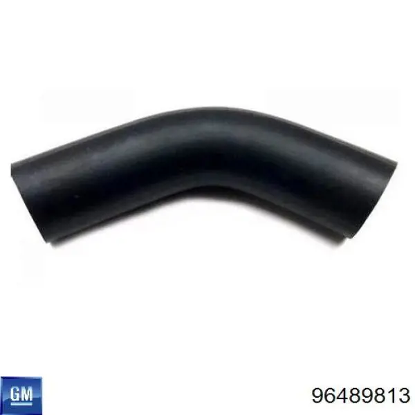 Comprar 96489813 General Motors Sistema de ventilación del cárter