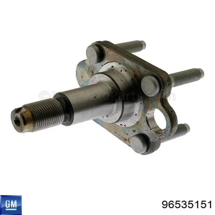 Mangueta trasera izquierda General Motors 96535151 precio, desde 29,25 EUR