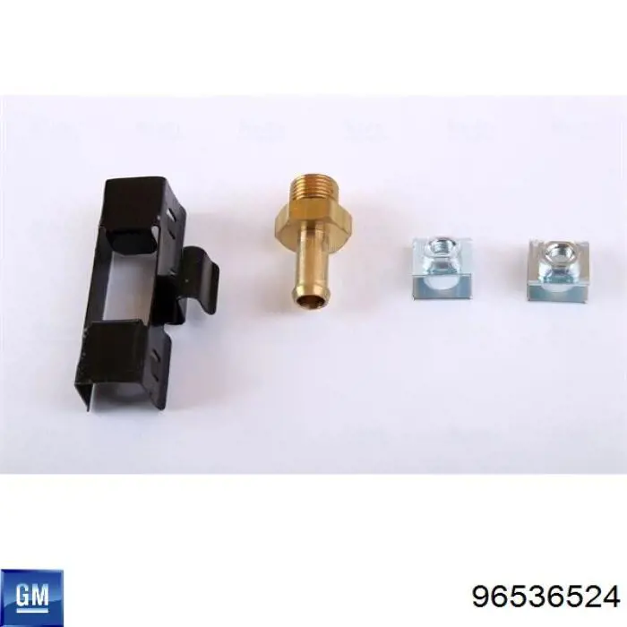 Água radiador General Motors 96536524 precio, desde 97,42 EUR