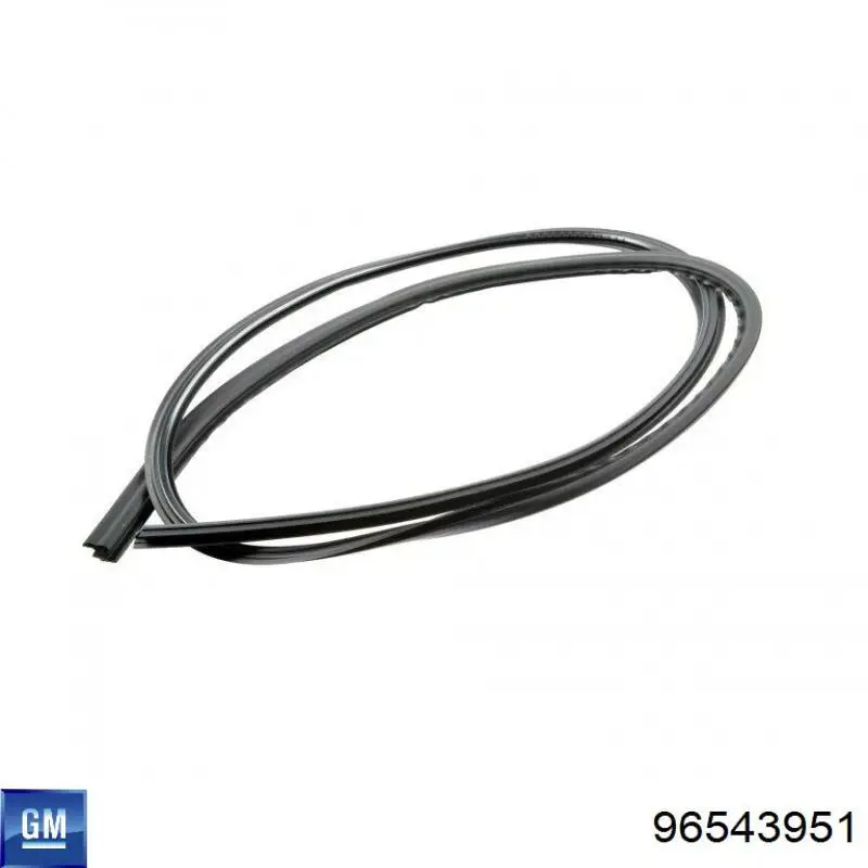 Junta del parabrisas Chevrolet Lacetti sedán (J200) (2003 - 2013) precio, desde 34,81 EUR