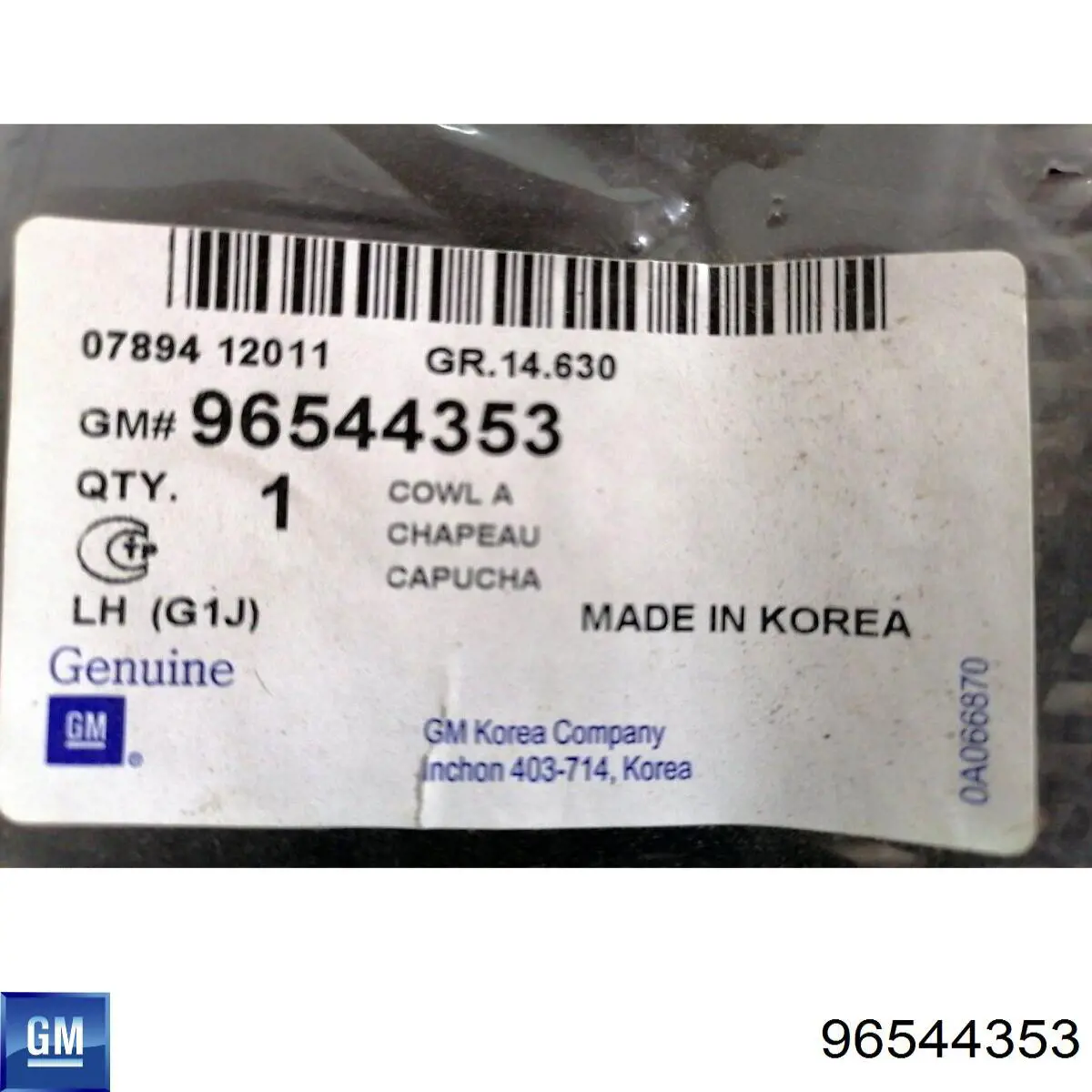 Rejilla izquierda de limpiaparabrisas 96544353 General Motors
