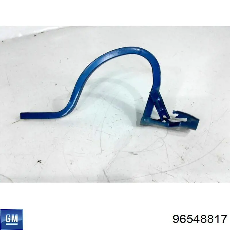 Comprar 96548817 General Motors Bisagra de la tapa del maletero
