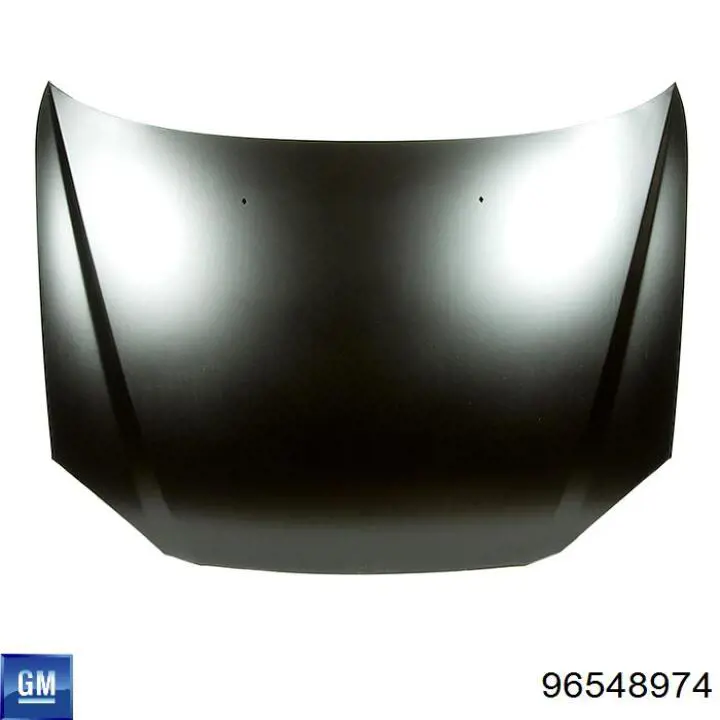 Capó del motor General Motors 96548974 precio, desde 202,00 EUR