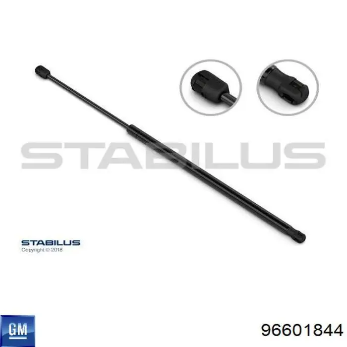 Comprar 96518910 General Motors Amortiguador de puerta trasera