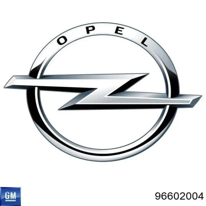 96602004 General Motors Capó delantero