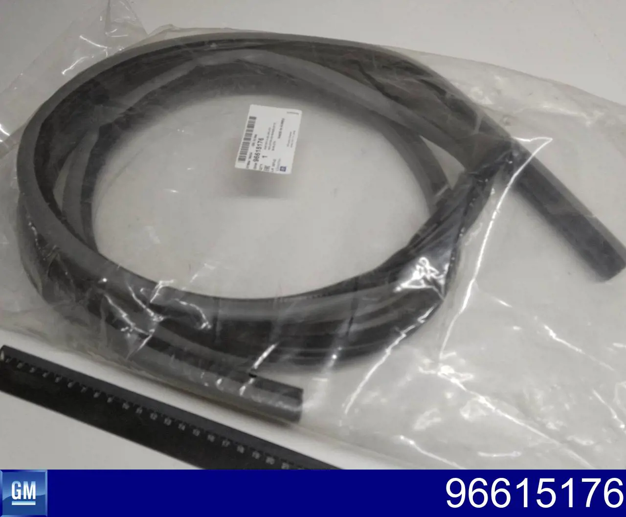 Junta de puerta delantera izquierda (en carrocería) General Motors 96615176 precio, desde 24,41 EUR