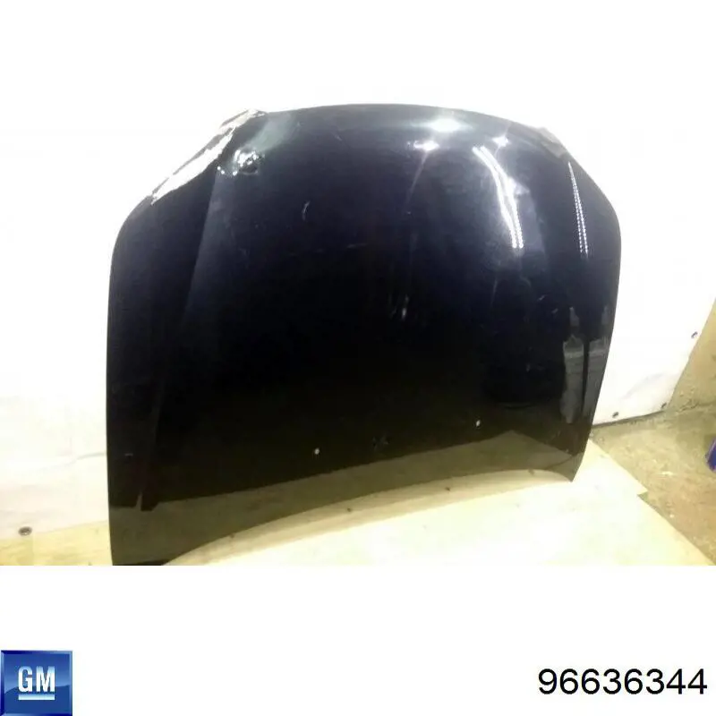 Capot FPS 1709280