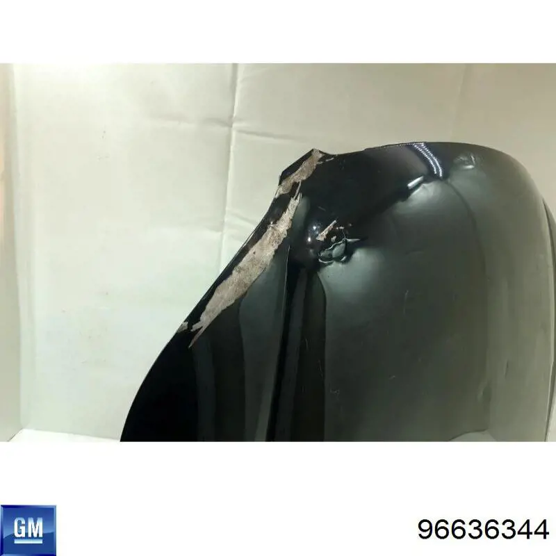 Comprar 96636344 General Motors Capó