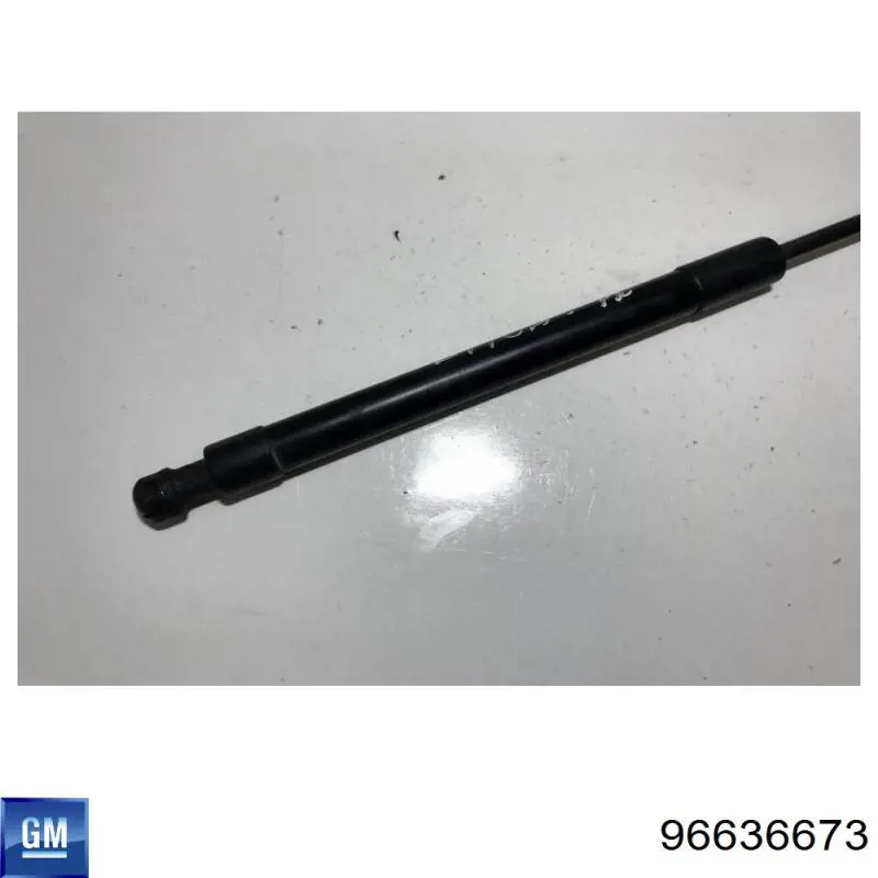 Muelle neumático, tapa delantera General Motors 96636673 precio, desde 24,02 EUR