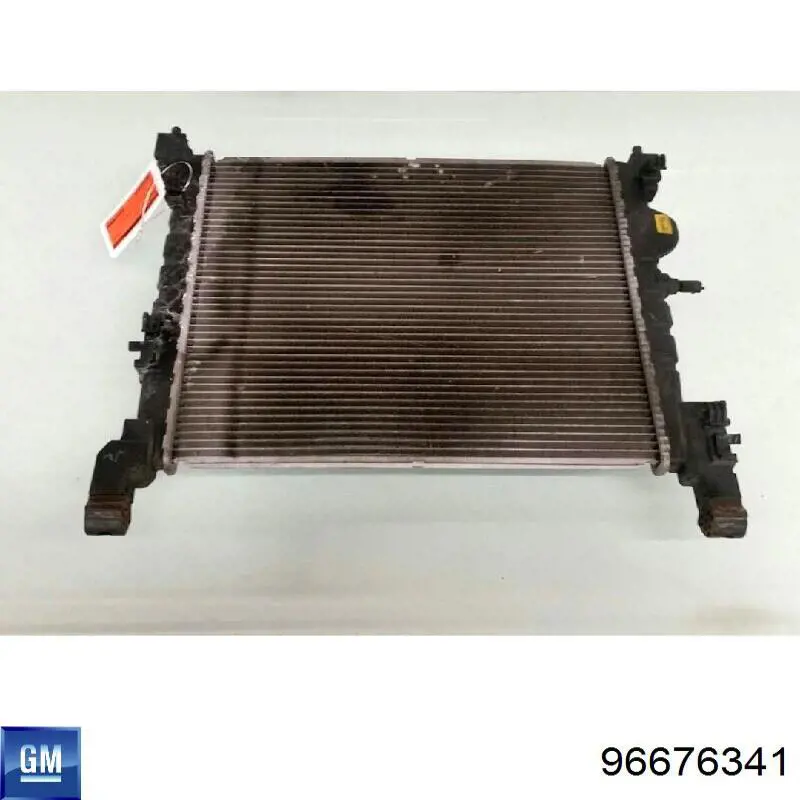 Água radiador General Motors 96676341 precio, desde 88,98 EUR