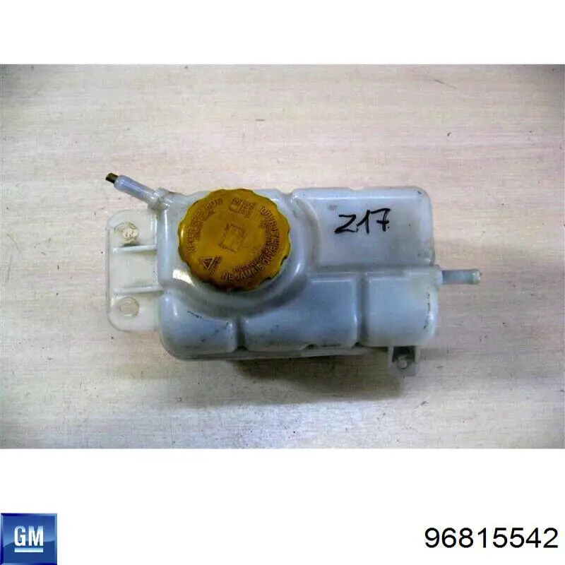 Botella de refrigeración Chevrolet Aveo 2 T250, T255
