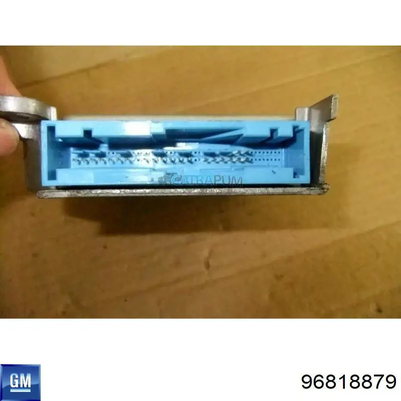  General Motors 96818879 precio, desde 60,98 EUR