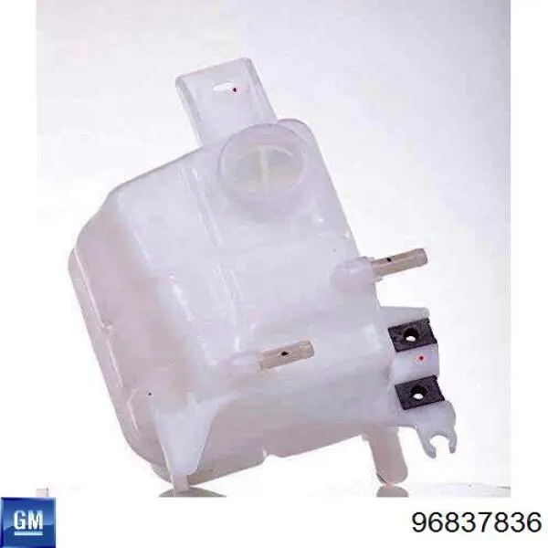 Botella expansion General Motors 96837836 precio, desde 23,85 EUR