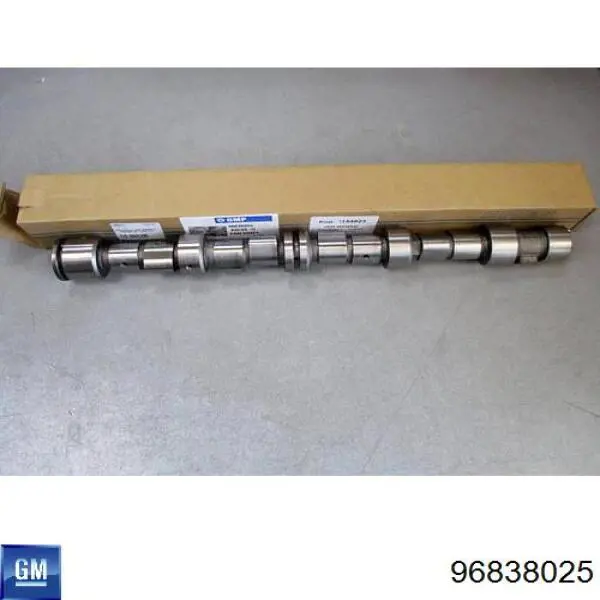 Árboles de levas General Motors 96838025 precio, desde 69,19 EUR