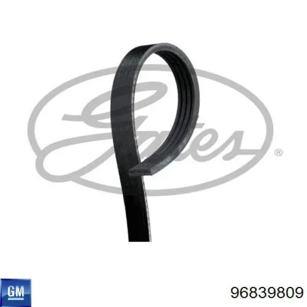 Correa de alternador 96839809 General Motors