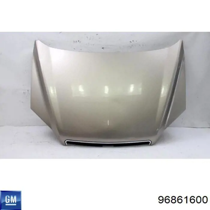Capó del motor General Motors 96861600 precio, desde 336,86 EUR