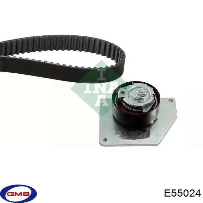 E55024 GMB rodillo, cadena de distribución