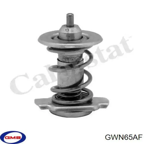 Bomba de agua GWN65AF GMB