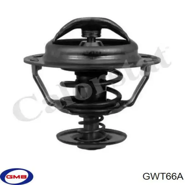 Bomba de agua T237 Dolz