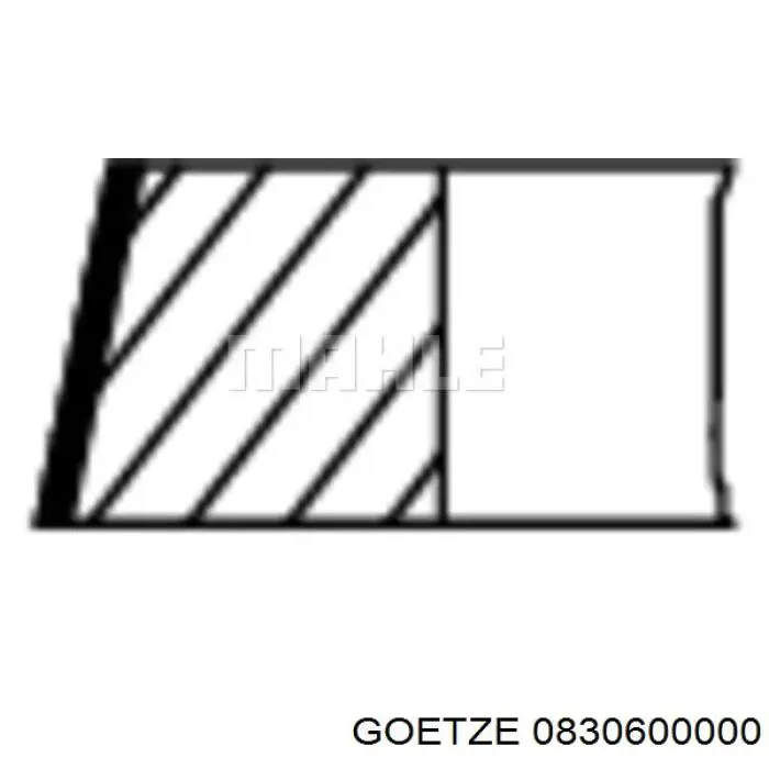 0830600000 Goetze