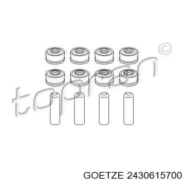 2430615700 Goetze sello de aceite de valvula (rascador de aceite Entrada/Salida Kit De Motor)