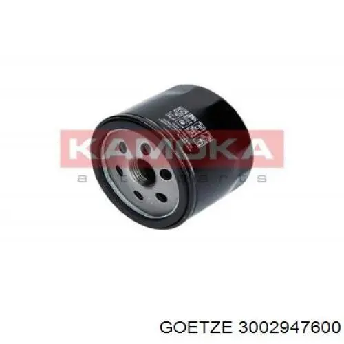 3002947600 Goetze Empaquetadura de culata