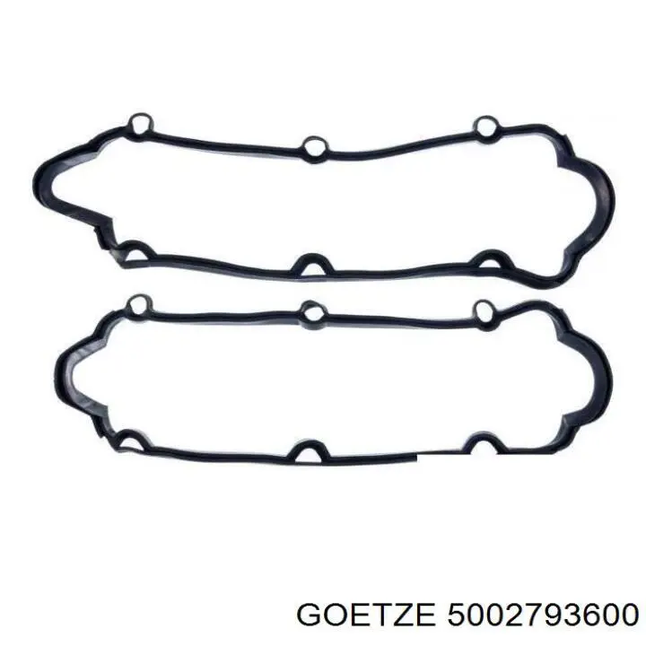 5002793600 Goetze junta de la tapa de válvulas del motor