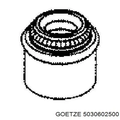 5030602500 Goetze