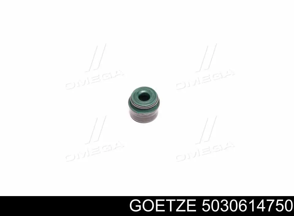 5030614750 Goetze Empaquetadura De Aceite De Valvula