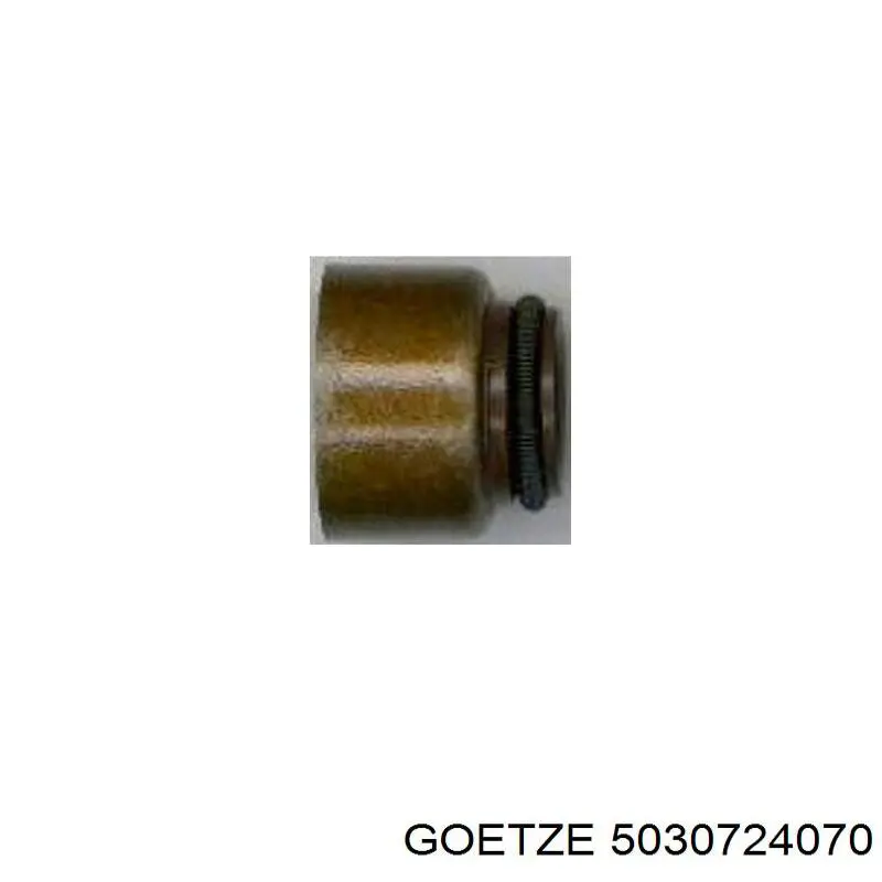 50-307240-70 Goetze sello de aceite de valvula (rascador de aceite Entrada/Salida)