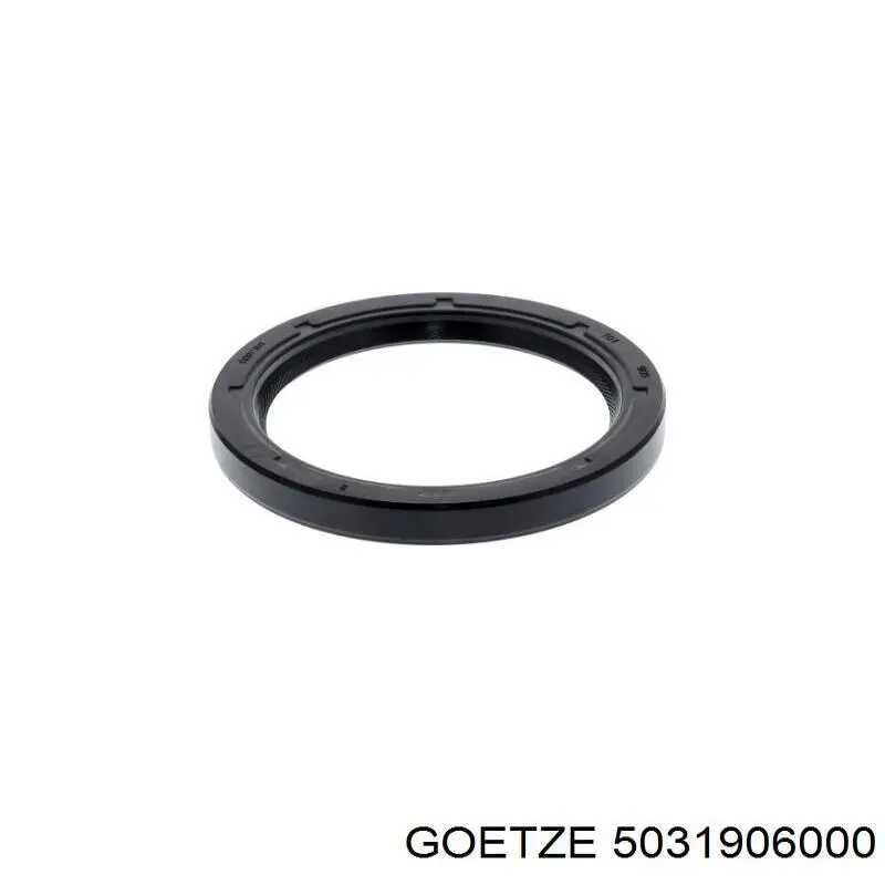 5031906000 Goetze
