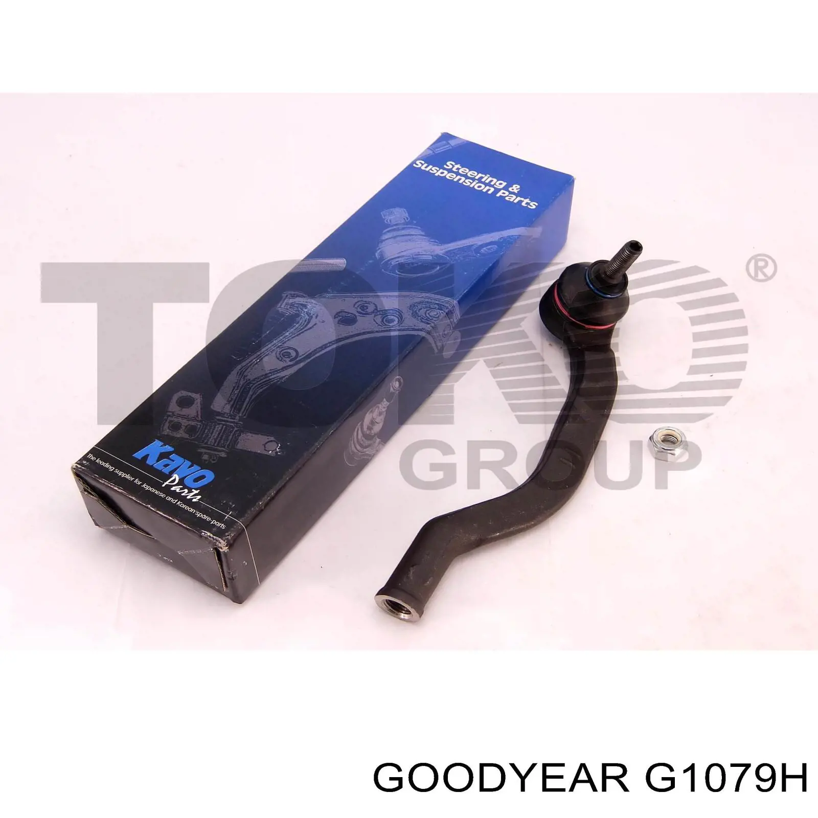 F8B212205A Mazda correa distribucion