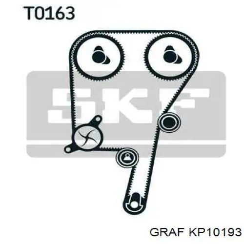 KP1019-3 Graf kit correa de distribución