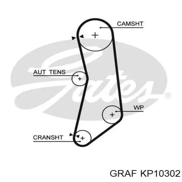 Juego de correas dentadas Graf KP10302 precio, desde 63,25 EUR